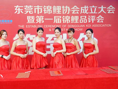 第一届锦鲤品评会6