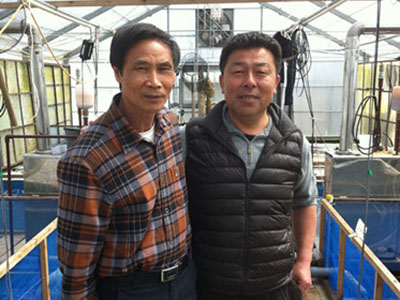 与丸堂锦鲤场平久司合...