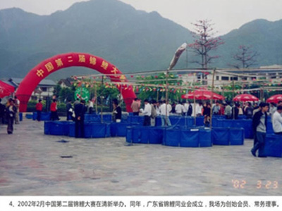 中国第二届锦鲤大赛